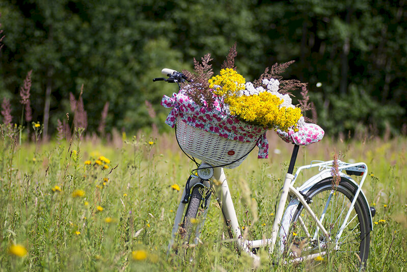 Explore the Norfolk Coast Cycleway