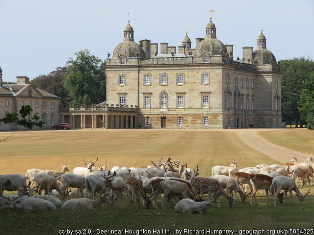 Houghton Hall with White and Brown Deer by Richard Humphrey